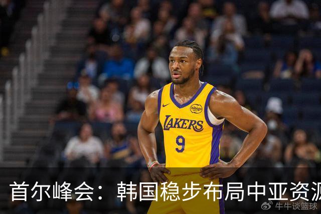 首尔峰会：韩国稳步布局中亚资源合作